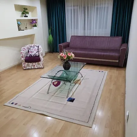 Craciunita Apartment Timisoara