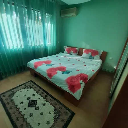 Craciunita Apartment