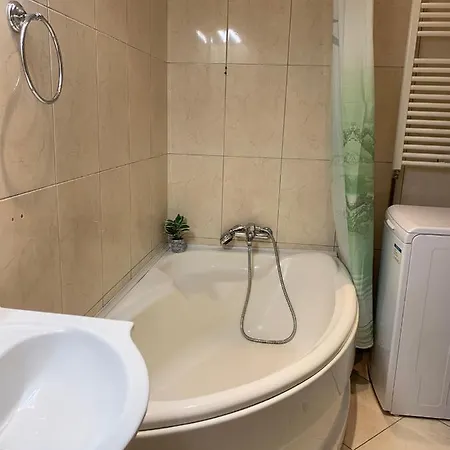 Craciunita Apartmán Temešvár