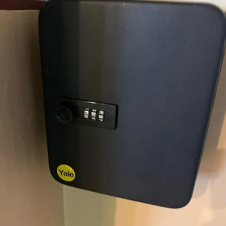 Craciunita * Timişoara