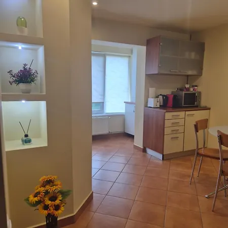 Craciunita Apartmán Temešvár