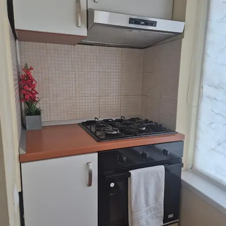 Craciunita Timişoara