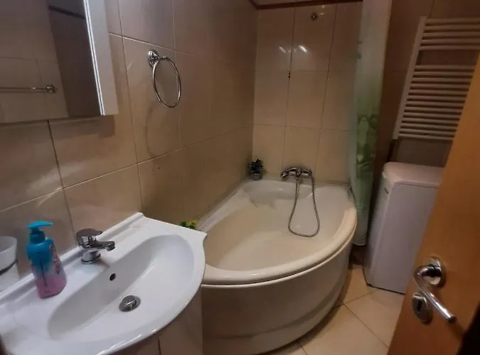 Crăciunița Apartament Timişoara