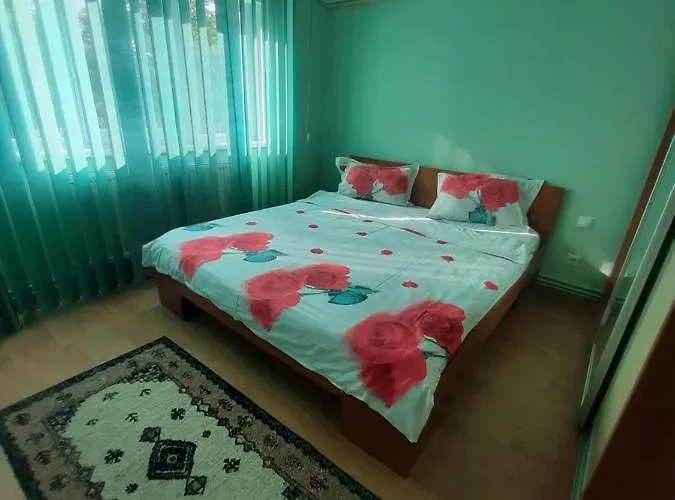 Craciunita Apartment