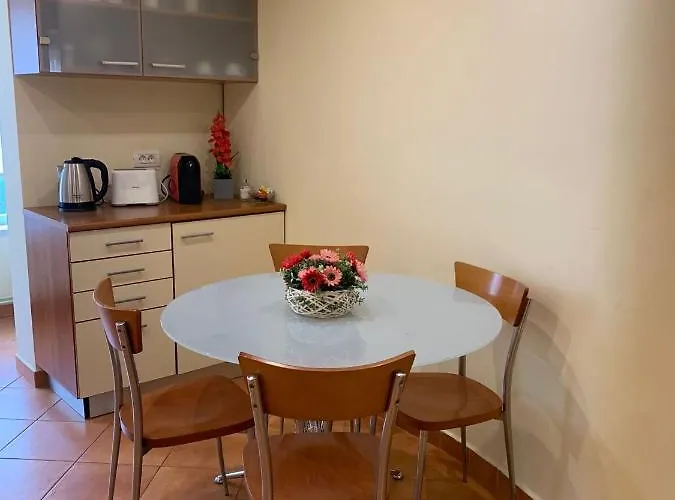 Apartment Craciunita *