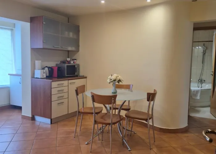 Apartment Craciunita *