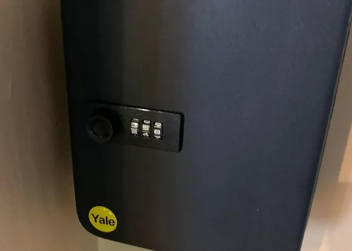 Craciunita * Timişoara