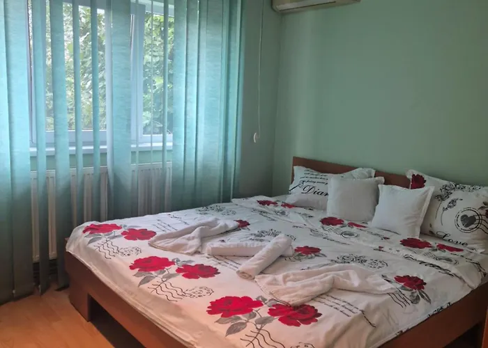 Craciunita Apartment