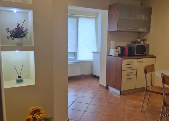 Craciunita Apartment Timişoara