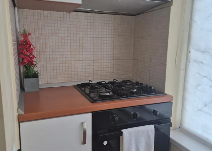 Crăciunița Timişoara