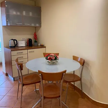 Апартаменты Craciunita *