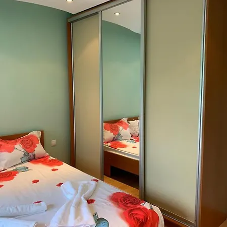 Апартаменты Craciunita *